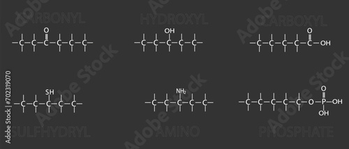 Functional groups of organic molecules. Skeletal chemical formula. photo