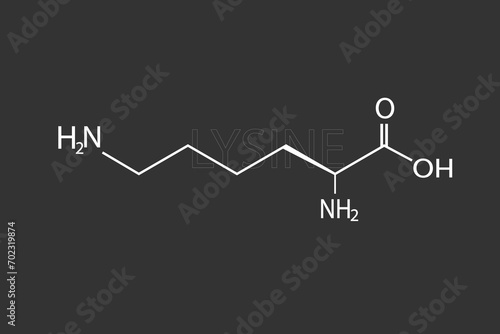 Lysine molecular skeletal chemical formula