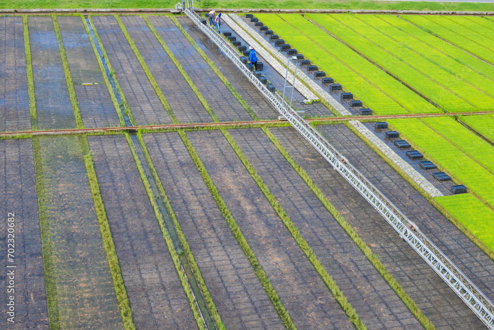 Obraz premium Farmer are working in the farm