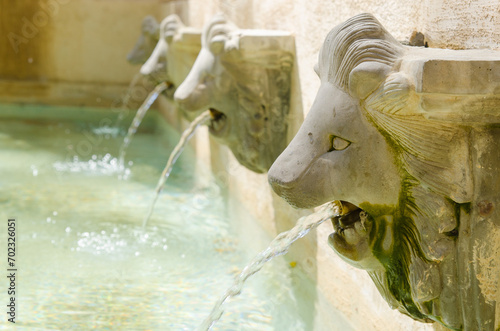 Fototapeta Naklejka Na Ścianę i Meble -  Lion sculptures spraying water