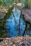 Reflections in a ditch in the Meer en Bos Park in the Hague in January.