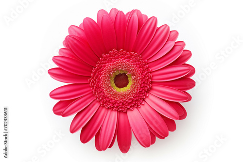 bud of gerbera red flower  top view  stamens  isolated on light background