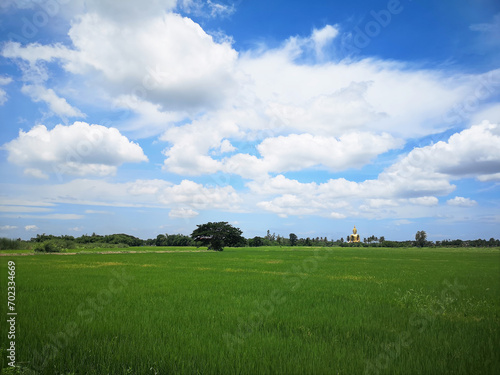 Wat Muang with gilden giant big Buddha statue in Thailand. Looking through the fields photo