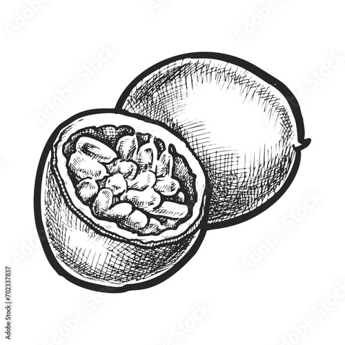 Halved edible passion fruit sketch. Vector passionfruit from semitropical plant. Vitamin nutrition and vegan diet, vegetarian food. Edible pepo berry for salad ingredient. Botany and biology, harvest