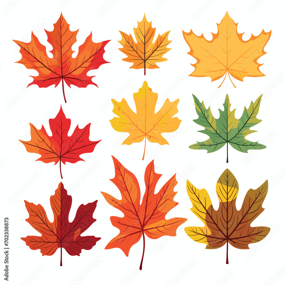 Autumn Leaves Set isolated, Vector Illustration