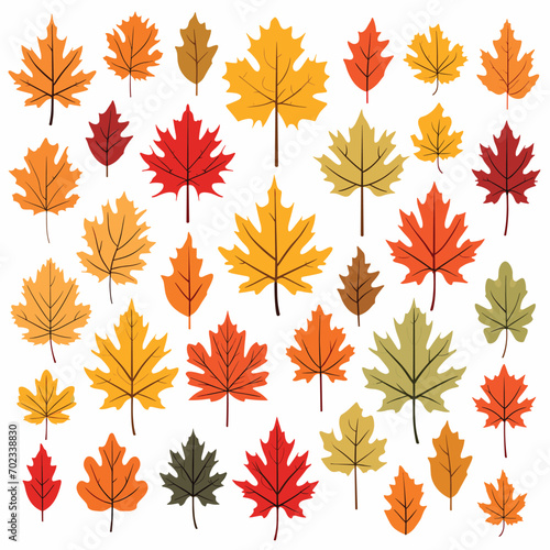 Autumn Leaves Set isolated, Vector Illustration