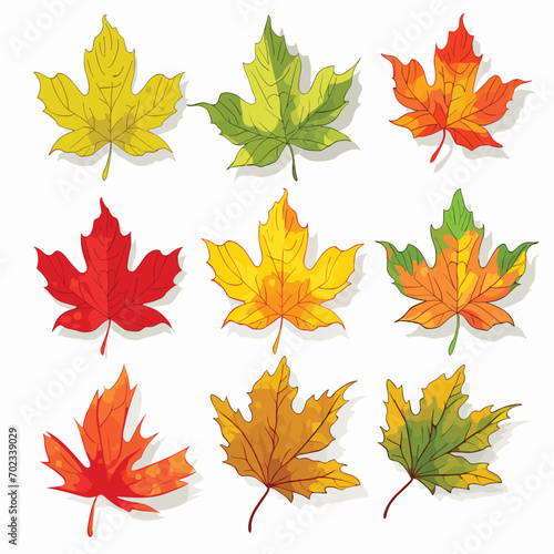 Autumn Leaves Set isolated, Vector Illustration