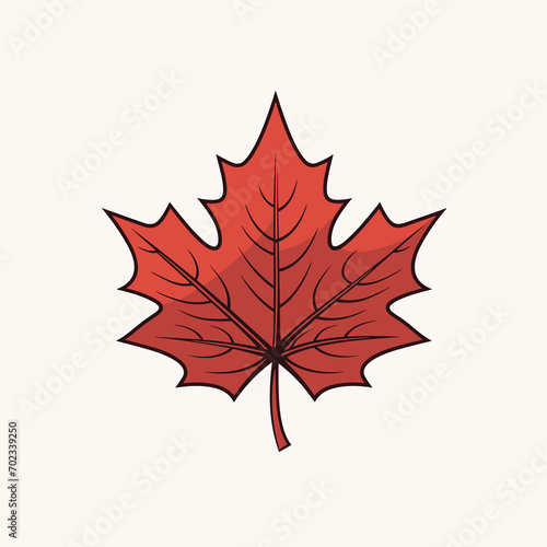 Autumn Maple red Leaf isolated, Vector Illustration