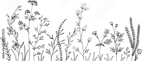 Wildflowers and grasses with various insects. Fashion sketch for various design ideas. Monochrom print. #702339252
