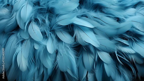 Blue feathers texture, background