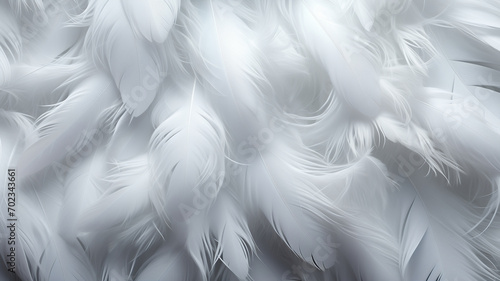 White feathers texture - background