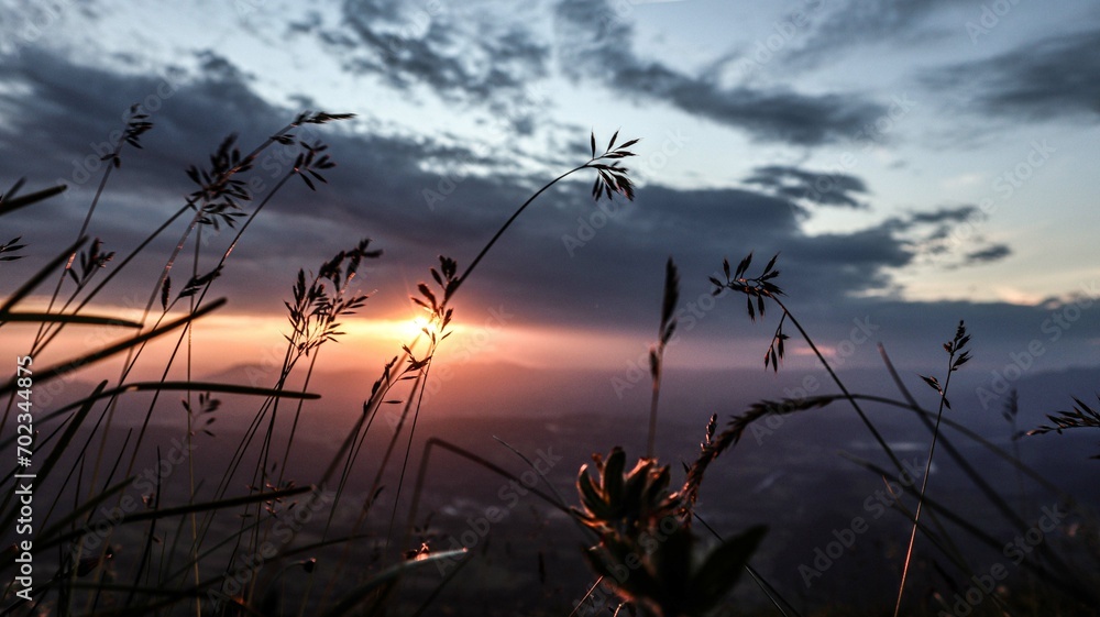 Fototapeta premium Couché de soleil chartreuse