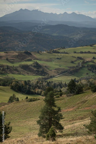 Krajobraz góski 