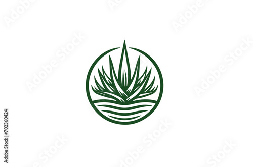 Aloe vera icon vector illustration 