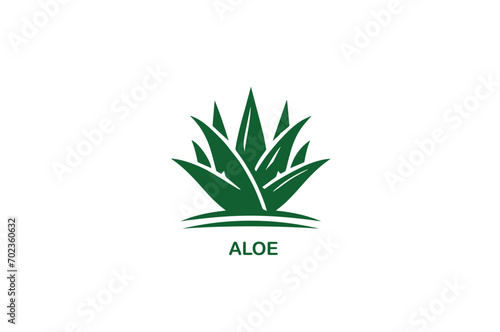Aloe vera icon vector illustration 