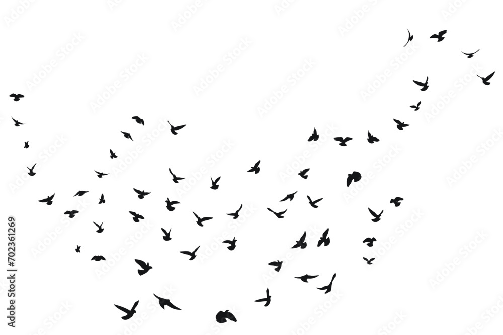 Silhouette sketch of a flock of flying forward birds. Takeoff, flying, flight, flutter, hover, soaring, landing - obrazy, fototapety, plakaty 