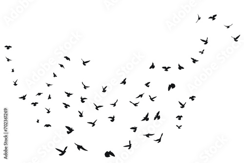 Silhouette sketch of a flock of flying forward birds. Takeoff, flying, flight, flutter, hover, soaring, landing