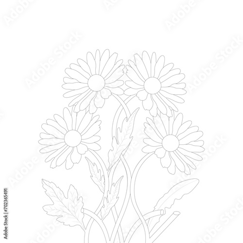 hand drawn daisy flower line art illustration vector