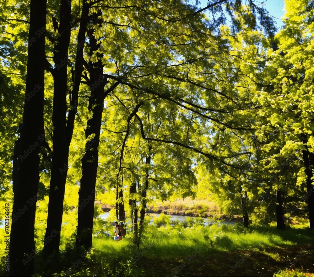 autumn in the park autumn in the park
