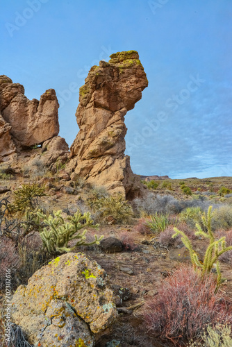 Mountain erosion formations of red mountain sandstones, Desert landscape with cacti, Arizona © Oleg Kovtun