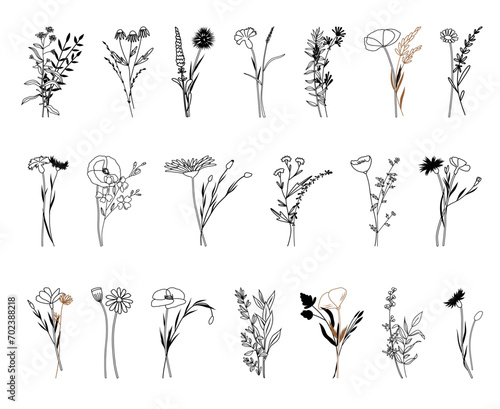 Wildflowers vector illustration, Botanical line arts, hand drawn bouquets of herbs, flowers, leaves and branches photo