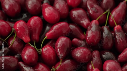 Ripe red cornel background. Dogwood berry close-up. Fresh cornelian cherry berries. Cornelian berry - useful organic dogwood, food, vitamin berry, healthy fruit. Rotating, slow motion, top view, flat 