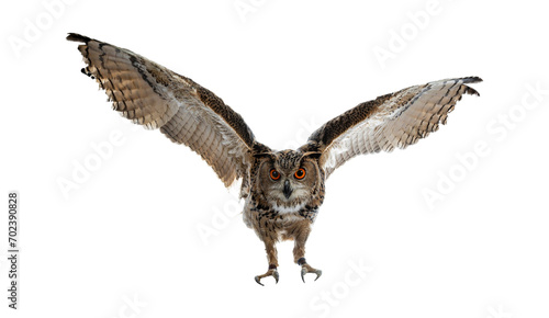 owl, intelligent, observe, mystical, landscape, nature, hunting, flight, flight, hunt, bird, AI generated,