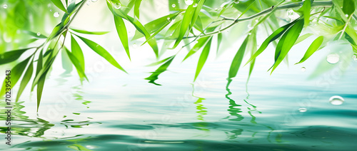 Green bamboo leaves hanging over a calm body of water with small ripples. Tranquil and ethereal mood. Nature background.