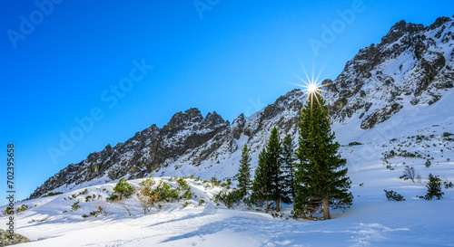 Winter landscape in the mountains. Rocky peaks with a clear blue sky. The setting sun over the top of the tree. Panorama of snowy mountains with small pine forest with sun rays.