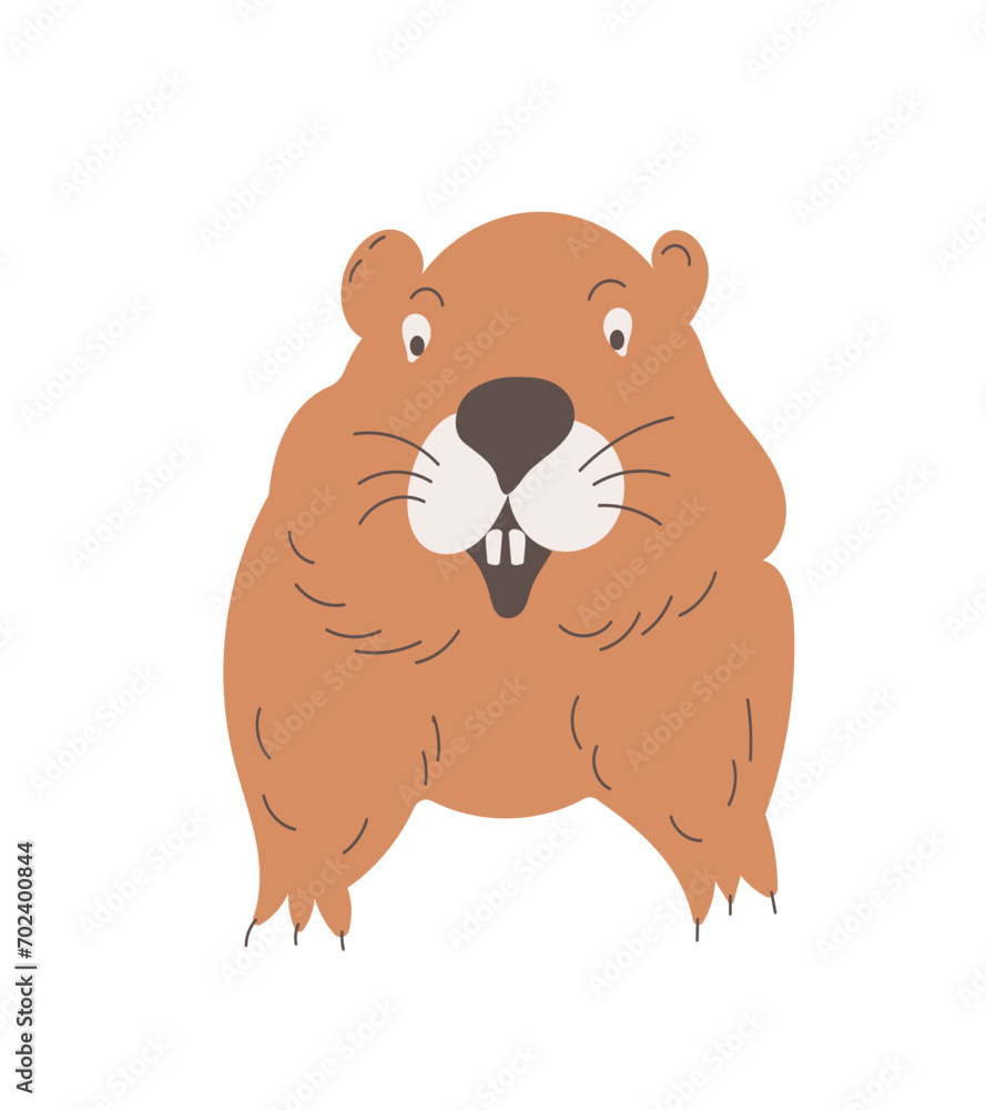 Marmot. Cute wild animal. Brown groundhog. Flat vector illustration of a groundhog isolated on a white background Marmot. Cute wild animal. Brown groundhog. Flat vector illustration of a groundhog isolated on a white background