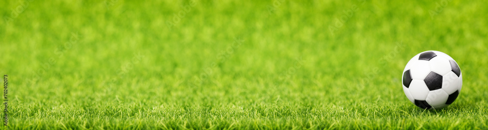 Soccer ball on green grass field with copy space. Long banner Soccer ball on green grass field with copy space. Long banner