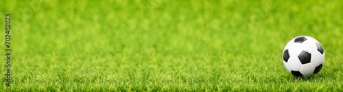 Soccer ball on green grass field with copy space. Long banner © photopixel