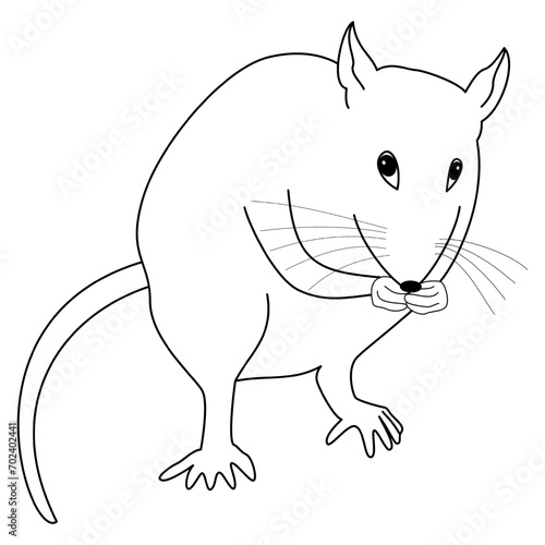 Rat standing on hind legs with hands in mouth - black silhouette