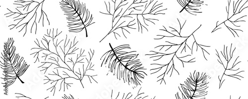 Hand drawn vector winter evergreen branches with  pine and fir branches, vector evergreen plant, Christmas tree and pine branch. Black silhoettes islated on white backgrond. Winter nature illustration