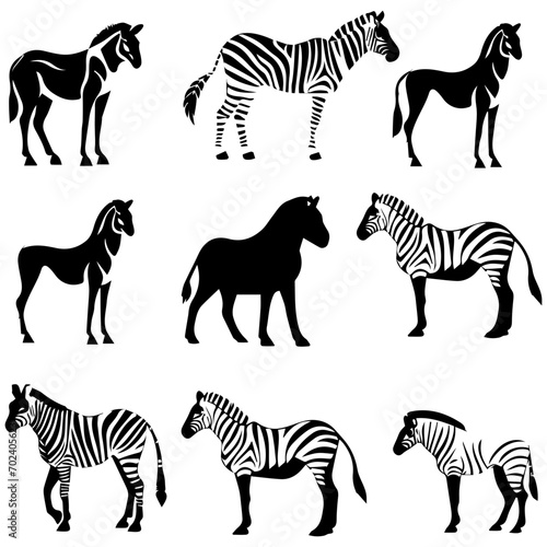 Hand drawn sketch of zebra illustration