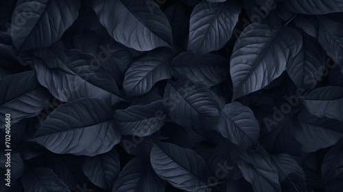 Natural dark leaves for the background © John