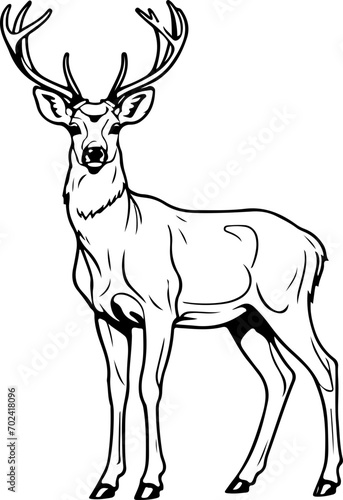 Fototapeta Naklejka Na Ścianę i Meble -  Deer SVG bundle, Deer SVG, deer outline svg, 3d deer svg, deer hunting svg, white tail deer svg, baby deer svg, deer scene svg