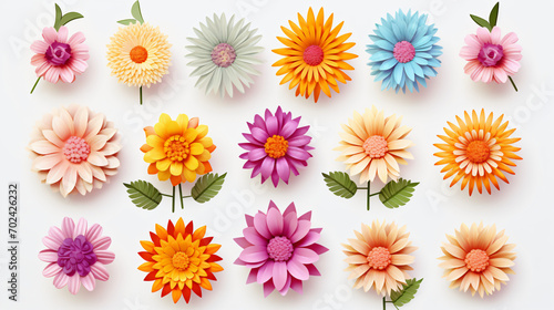 Set of different color flowers on a pure white background