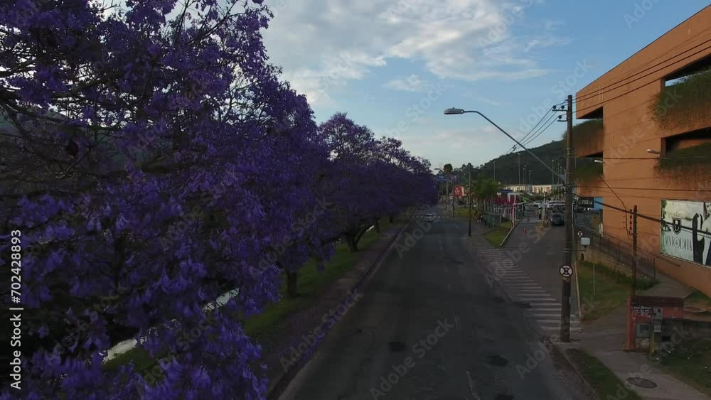 street with trees, landscape, tree, street, city, spring street with trees, landscape, tree, street, city, spring
