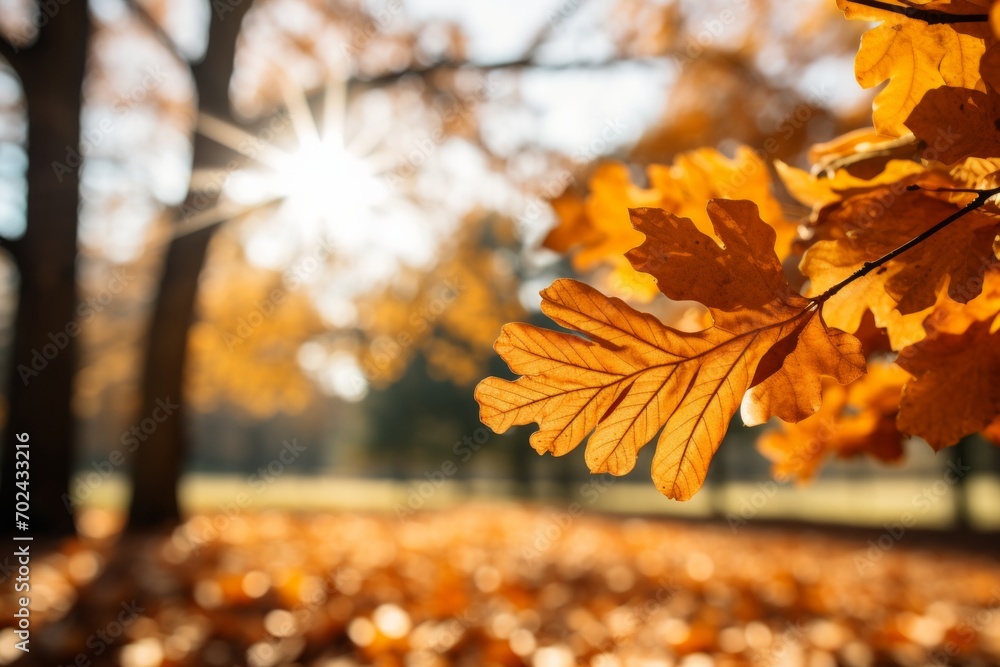Mesmerizing golden oak tree leaves dancing in the enchanting sunlight of a peaceful day Mesmerizing golden oak tree leaves dancing in the enchanting sunlight of a peaceful day