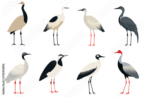 Collection of the most common asian birds isolated vector style illustration