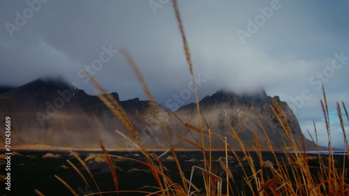 Black Beach Texture with yellow grass icelandic moss forming patterns in Iceland photo