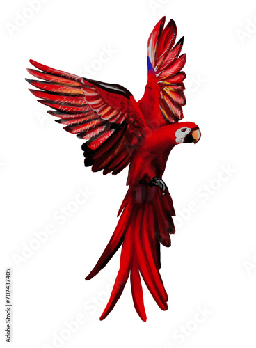 Red parrot . Scarlet macaw. Rainbow bird With spread wings