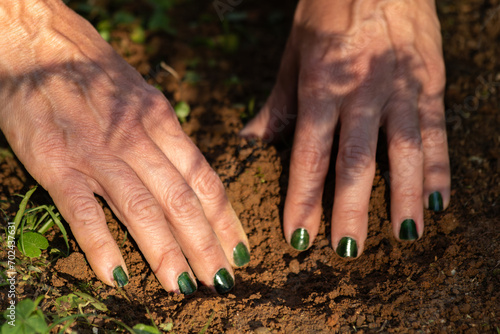 Mãos de mulher mexendo na terra, preparando para plantar com as unhas pintadas de verde. photo