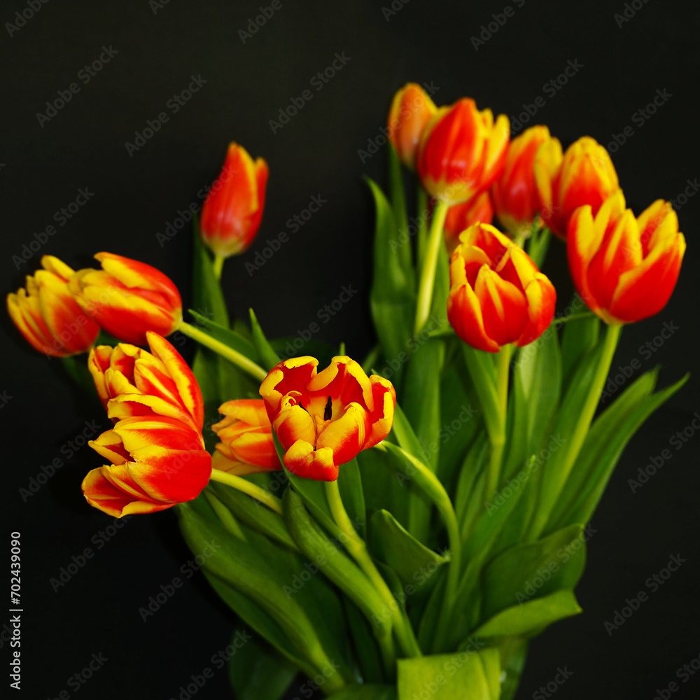 a large bouquet with red and yellow tulips stands on a black background. bouquet. holiday. Happy holiday. postcard. poster calendar. spring. copy space a large bouquet with red and yellow tulips stands on a black background. bouquet. holiday. Happy holiday. postcard. poster calendar. spring. copy space