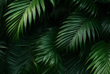 Palms in Detail A Closeup of Lush Green Foliage