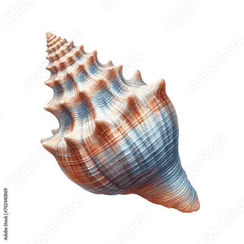 Colorful sea shell watercolor paint. Vector Illustration