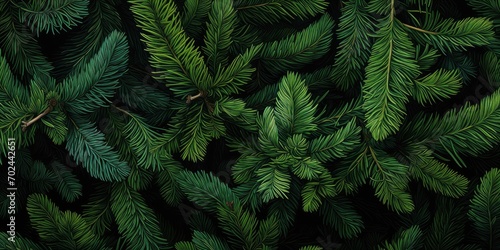 a close up view of a fir tree with several branches