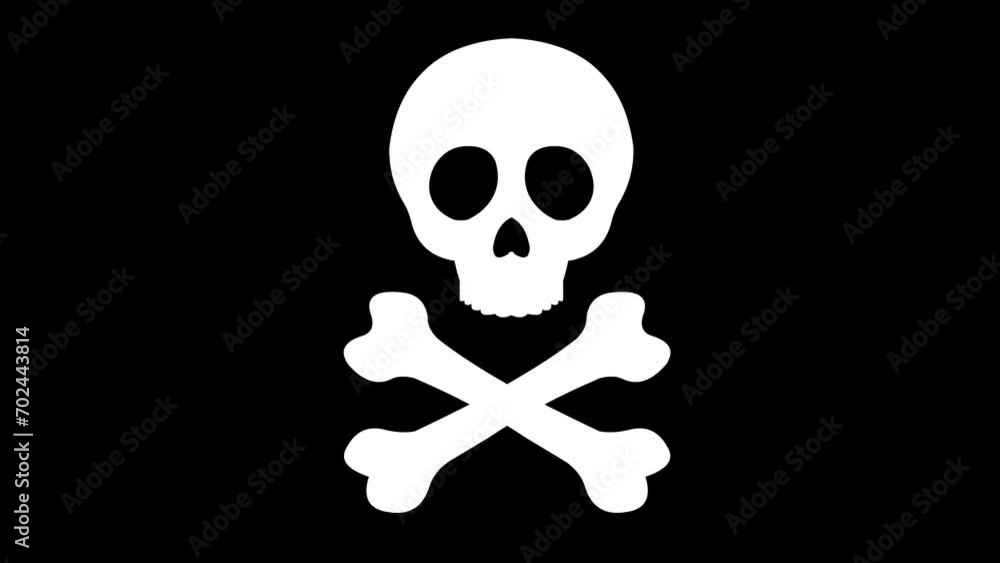 video animation icon skull head, in concept malware software virus or hacker computer. On a transparent background with alpha channel set to zero video animation icon skull head, in concept malware software virus or hacker computer. On a transparent background with alpha channel set to zero
