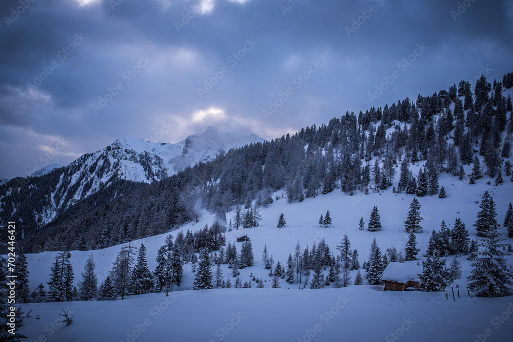 Winter { Landschaft